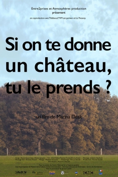 Si on te donne un château, tu le prends ? (2017)